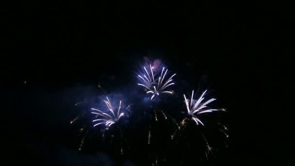 Fuochi Artificio Festivi Multicolori Nel Buio Cielo Notturno Piano Globale — Video Stock