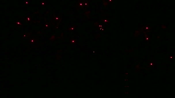 Sparks of festive salute in the dark night sky — Stock Video