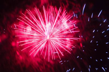 Gece gökyüzünde şenlikli havai fişek mor kıvılcım.