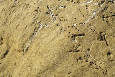 Kayalık gözenekli yüzey yakın çekim. Doku. Yatay çerçeve