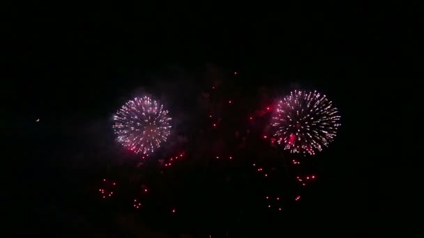 Helder feestelijk vuurwerk in de donkere nachtelijke hemel. — Stockvideo