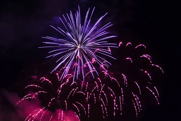 Lilac fire sparks of festive fireworks in the night sky.