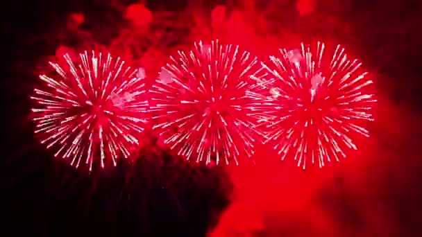 Éclairs de feu colorés de feux d'artifice festifs dans le ciel nocturne. tours de temps — Video