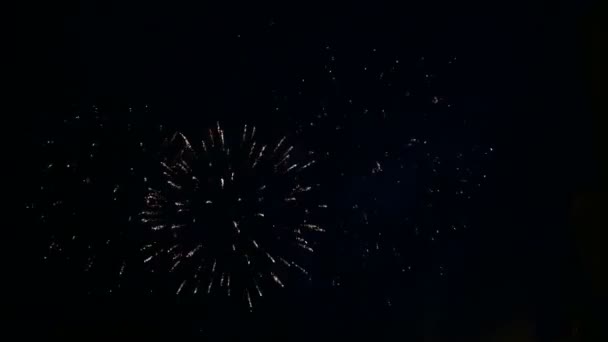 Lampi di fuoco luminoso di fuochi d'artificio festivi nel cielo notturno. giri di tempo — Video Stock