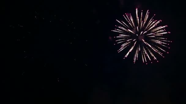 Fröhlich feurige Funken von festlichem Feuerwerk am Nachthimmel. — Stockvideo