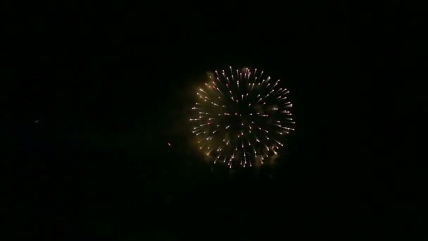 Fuochi d'artificio festivi lucenti nel cielo scuro di notte . — Video Stock