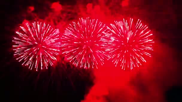 Colored fiery sparks of festive fireworks in the night sky. time laps — Stock Video