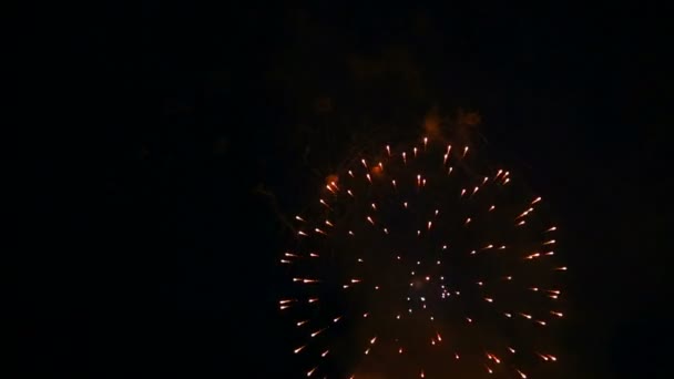 Lampi di fuoco multicolore di fuochi d'artificio festivi nel cielo notturno — Video Stock