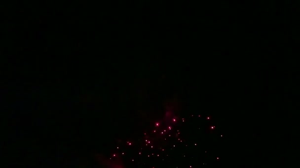 Fuegos artificiales festivos multicolores en el oscuro cielo nocturno — Vídeo de stock