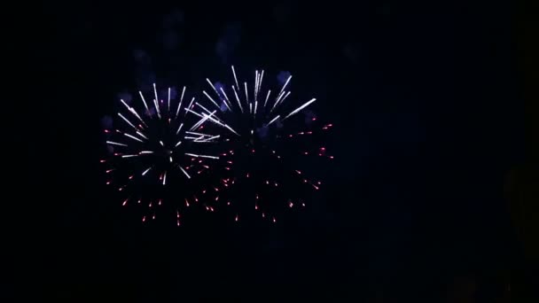 Fényes tüzes villog az ünnepi tűzijáték az éjszakai égen. idő körök — Stock videók