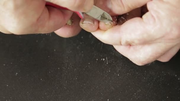 The hands of a man use a tool to remove sore flexible nails from their toes — Stock Video