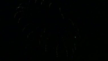 ateş nehir üzerinde gece gökyüzünde şenlikli havai fişek gösterisi suya yansıtan.