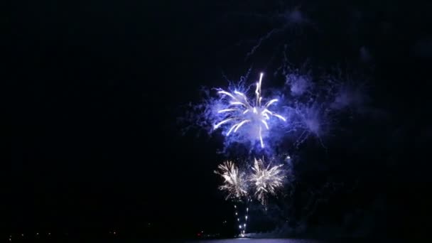 水に映る川の上の夜空に色のお祝いの花火. — ストック動画