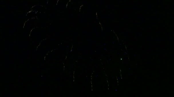 Espectáculo de fuegos artificiales festivos en el cielo nocturno sobre el río que se refleja en el agua . — Vídeo de stock