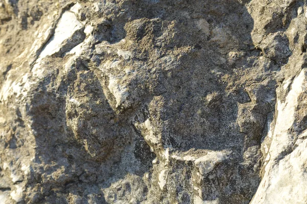 Un fragmento de sal cubierto de rocas junto al mar. Textura . — Foto de Stock