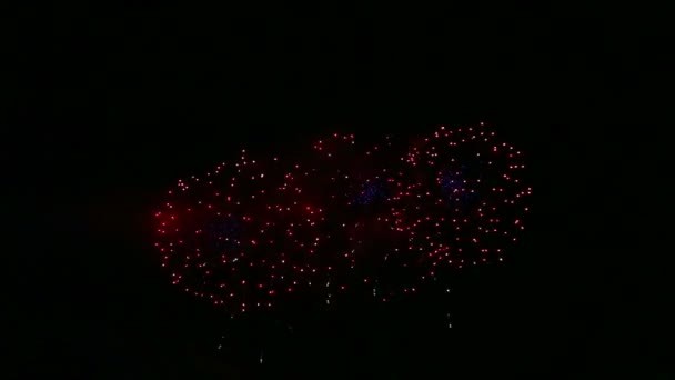 Цветные праздничные фейерверки в темном ночном небе . — стоковое видео