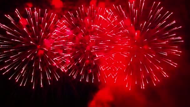 Fialové ohnivé záblesky sváteční ohňostroje na noční obloze — Stock video