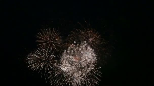 Kleurrijke ballonnen van feestelijk vuurwerk in de nachtelijke hemel boven de rivier reflecterend in het water — Stockvideo