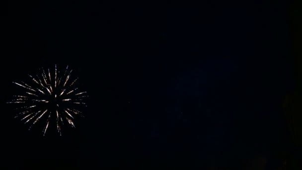 Вспышки праздничного фейерверка в ночном небе — стоковое видео