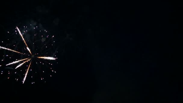 Lampi di fuoco multicolore di fuochi d'artificio festivi nel cielo notturno — Video Stock