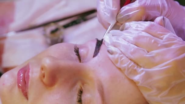 Косметолог фарбує клієнта бровами спеціальним пензлем — стокове відео