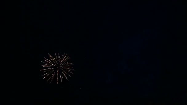 Разноцветные огненные вспышки праздничного фейерверка в ночном небе. Временные лапы . — стоковое видео