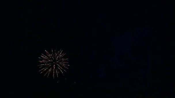 Éclairs de feu multicolores de feux d'artifice festifs dans le ciel nocturne. tours de temps . — Video