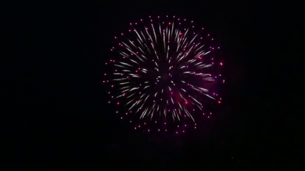 Färgglada ballonger av festliga fyrverkerier på natthimlen ovanför floden som reflekteras i vattnet. — Stockvideo