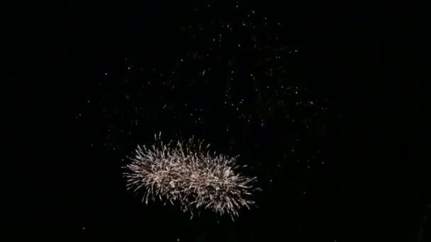 Fogos de artifício festivos cintilantes no céu noturno sobre o rio. Desfasamentos temporais — Vídeo de Stock