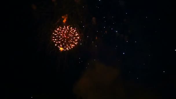 Χαρούμενες σπινθήρες από εορταστικά πυροτεχνήματα στον νυχτερινό ουρανό. χρονογύροι. — Αρχείο Βίντεο