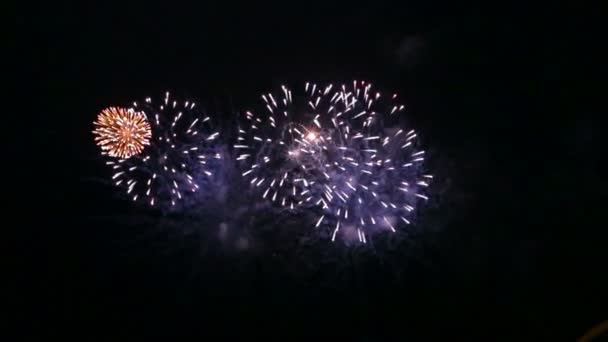 Feu spectacle feux d'artifice festifs dans le ciel nocturne au-dessus de la rivière reflétant dans l'eau — Video