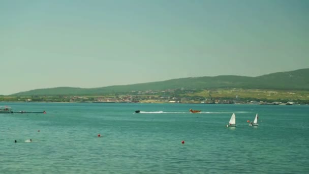 Małe żaglówki i jachty pływają w morzu — Wideo stockowe