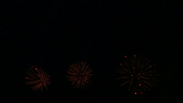 étincelles lumineuses de feux d'artifice festifs dans le ciel nocturne au-dessus de la rivière reflétant dans l'eau 