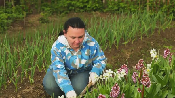 Młoda kobieta w kraju rozluźnia glebę w kwiatowym łożu — Wideo stockowe