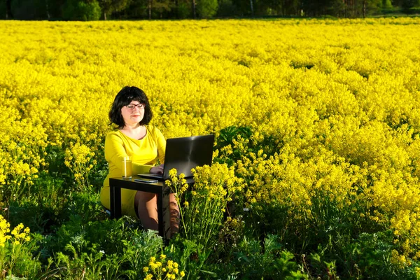 Молода жінка фрілансер в полі серед жовтих квітів за столом працює на комп'ютері . — стокове фото
