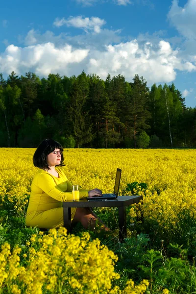 Молода жінка фрілансер в полі серед жовтих квітів за столом працює на комп'ютері . — стокове фото