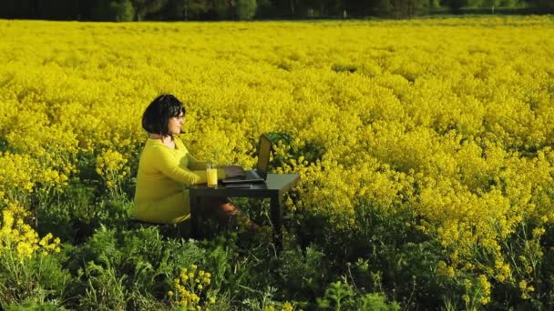 Μια γυναίκα με κίτρινα ρούχα στη μέση ενός αγρού με κίτρινα λουλούδια δουλεύει εξ αποστάσεως σε έναν υπολογιστή.. — Αρχείο Βίντεο