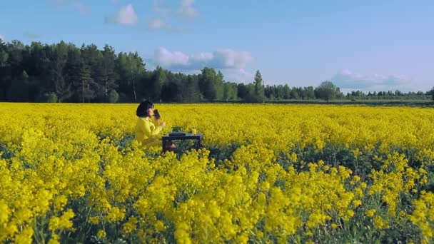 A brunette woman in yellow clothes in the middle of a field with yellow flowers works remotely at a computer. — Stock Video