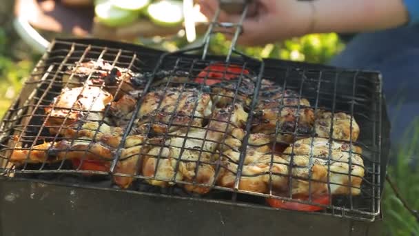 Kött och korv grillas på grillen. — Stockvideo