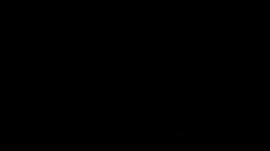 Gece gökyüzünün siyah arka planında çoklu efektli havai fişekler.