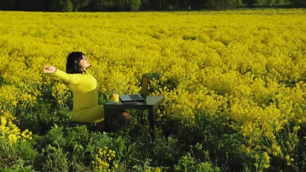 Jonge vrouw in een geel veld op een zonnige dag werkt op afstand op een computer. — Stockvideo