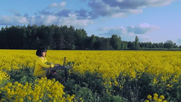 Ung kvinna på naturen i ett gult fält på en solig dag arbetar på distans vid en dator. — Stockvideo