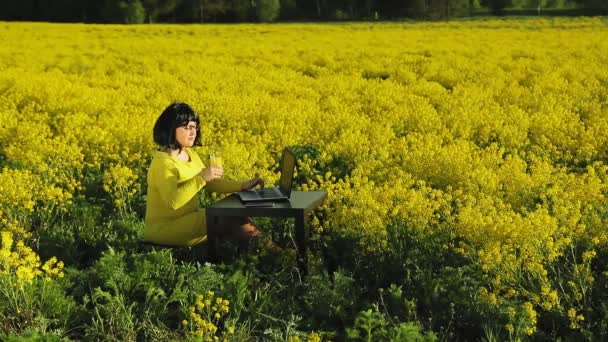 Μια γυναίκα με κίτρινα ρούχα στη μέση ενός αγρού με κίτρινα λουλούδια δουλεύει εξ αποστάσεως σε έναν υπολογιστή.. — Αρχείο Βίντεο