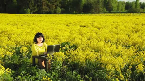 Νεαρή γυναίκα σε κίτρινο χωράφι μια ηλιόλουστη μέρα δουλεύει εξ αποστάσεως σε υπολογιστή — Αρχείο Βίντεο