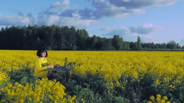 Молода жінка на природі в жовтому полі в сонячний день працює віддалено за комп'ютером — стокове відео