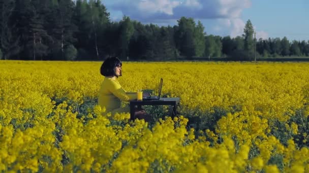 Sarı elbiseli bir kadın sarı çiçekli bir tarlanın ortasında bilgisayarın başında çalışıyor ve meyve suyu içiyor. — Stok video