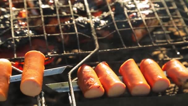 Meat and sausages are grilled on the grill. — Stock Video