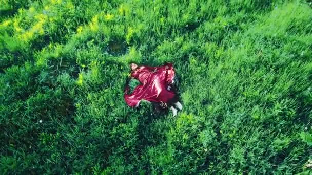 Eine junge Zigeunerin im roten Kleid liegt auf dem Rasen in einem Aero-Video-Feld. — Stockvideo