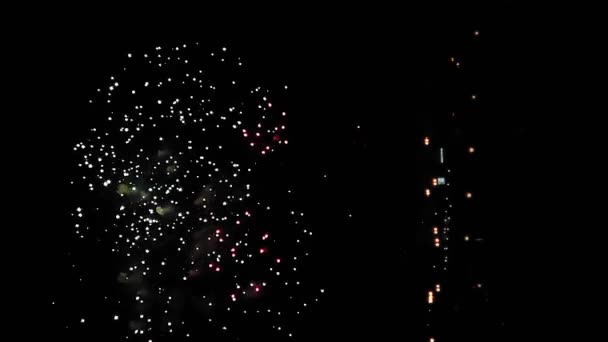 Fogos de artifício festivos multi-efeito contra o céu noturno. Vertical — Vídeo de Stock