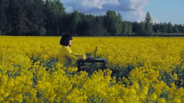 Een vrouw in gele kleren in het midden van een veld met gele bloemen werkt op afstand op een computer en drinkt sap — Stockvideo